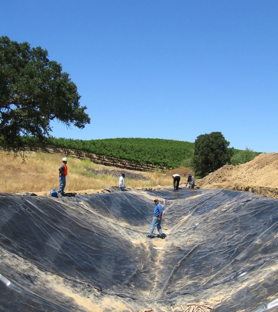 Denner and Eberle Vineyards